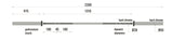 BILANCIERE OLIMPICI CROSS COMPETITION TOORX BO-1000 PROFESSIONAL LINE